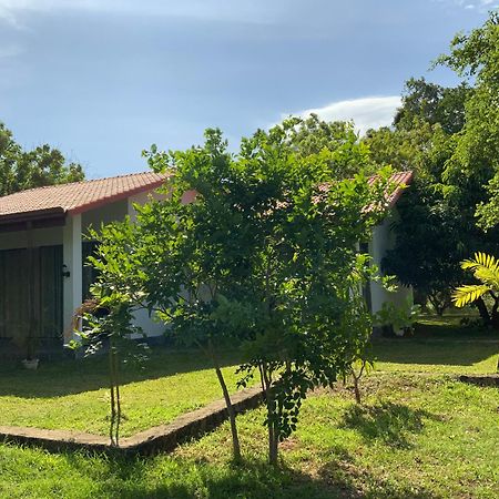 Nature Resort Polonnaruwa Bagian luar foto