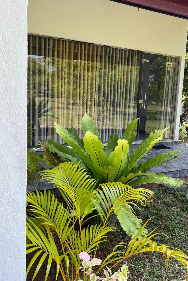 Nature Resort Polonnaruwa Bagian luar foto