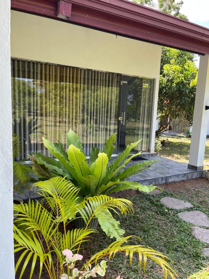 Nature Resort Polonnaruwa Bagian luar foto