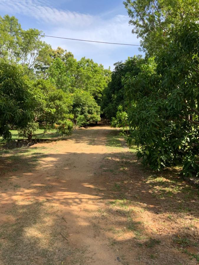 Nature Resort Polonnaruwa Bagian luar foto