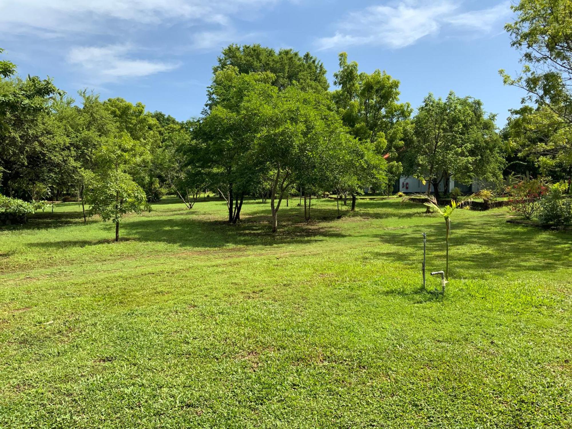 Nature Resort Polonnaruwa Bagian luar foto