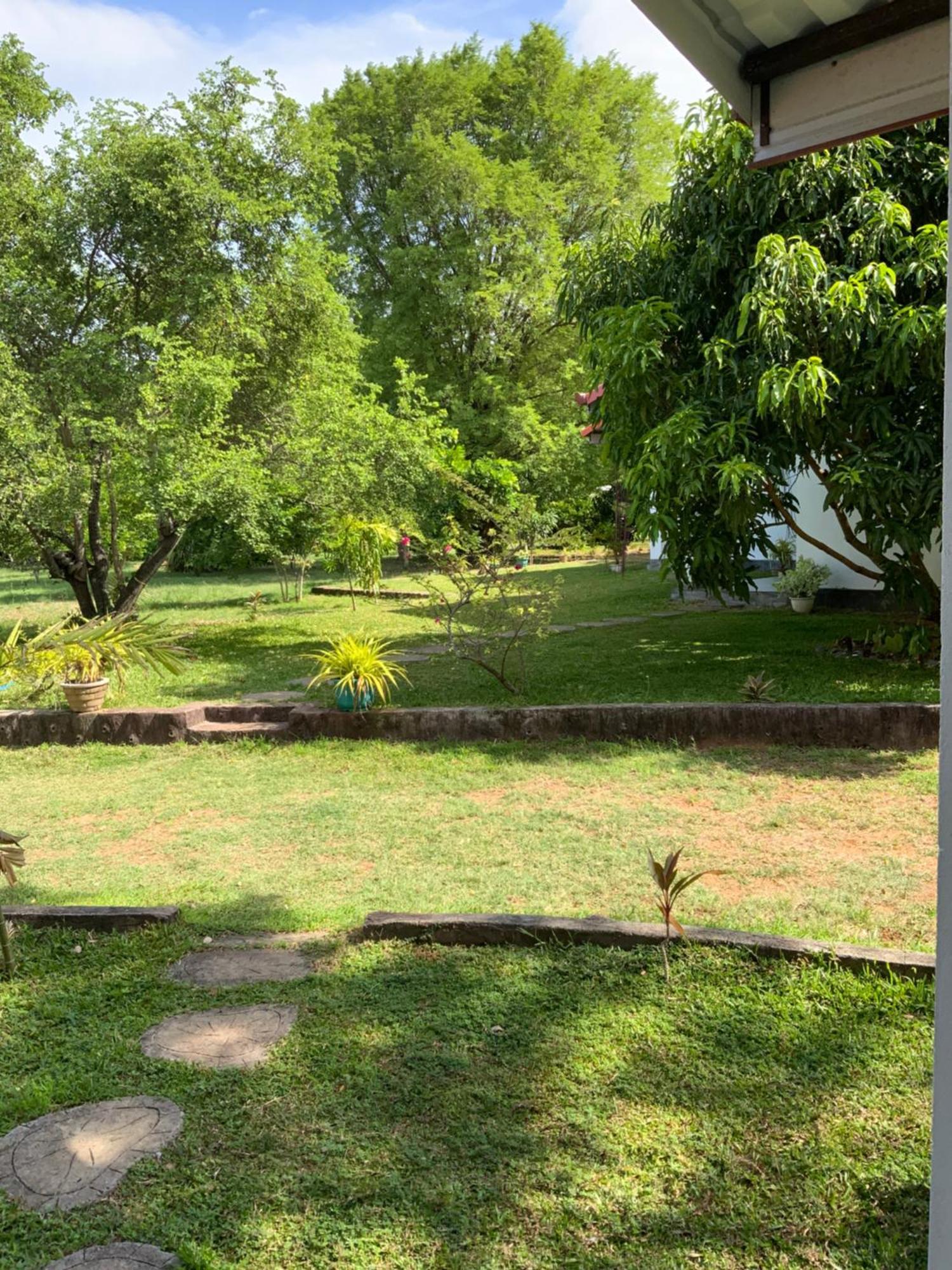 Nature Resort Polonnaruwa Bagian luar foto