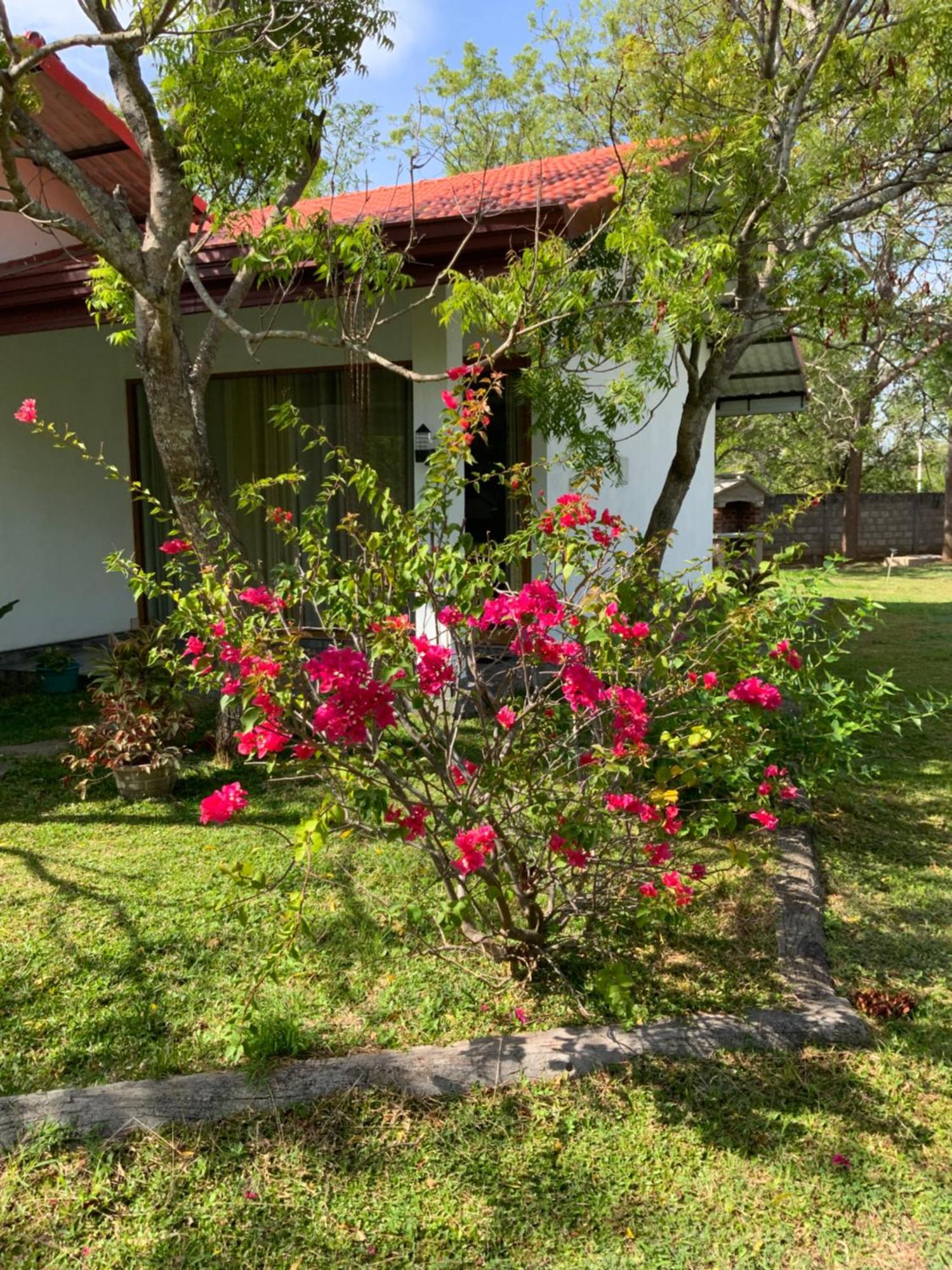 Nature Resort Polonnaruwa Bagian luar foto
