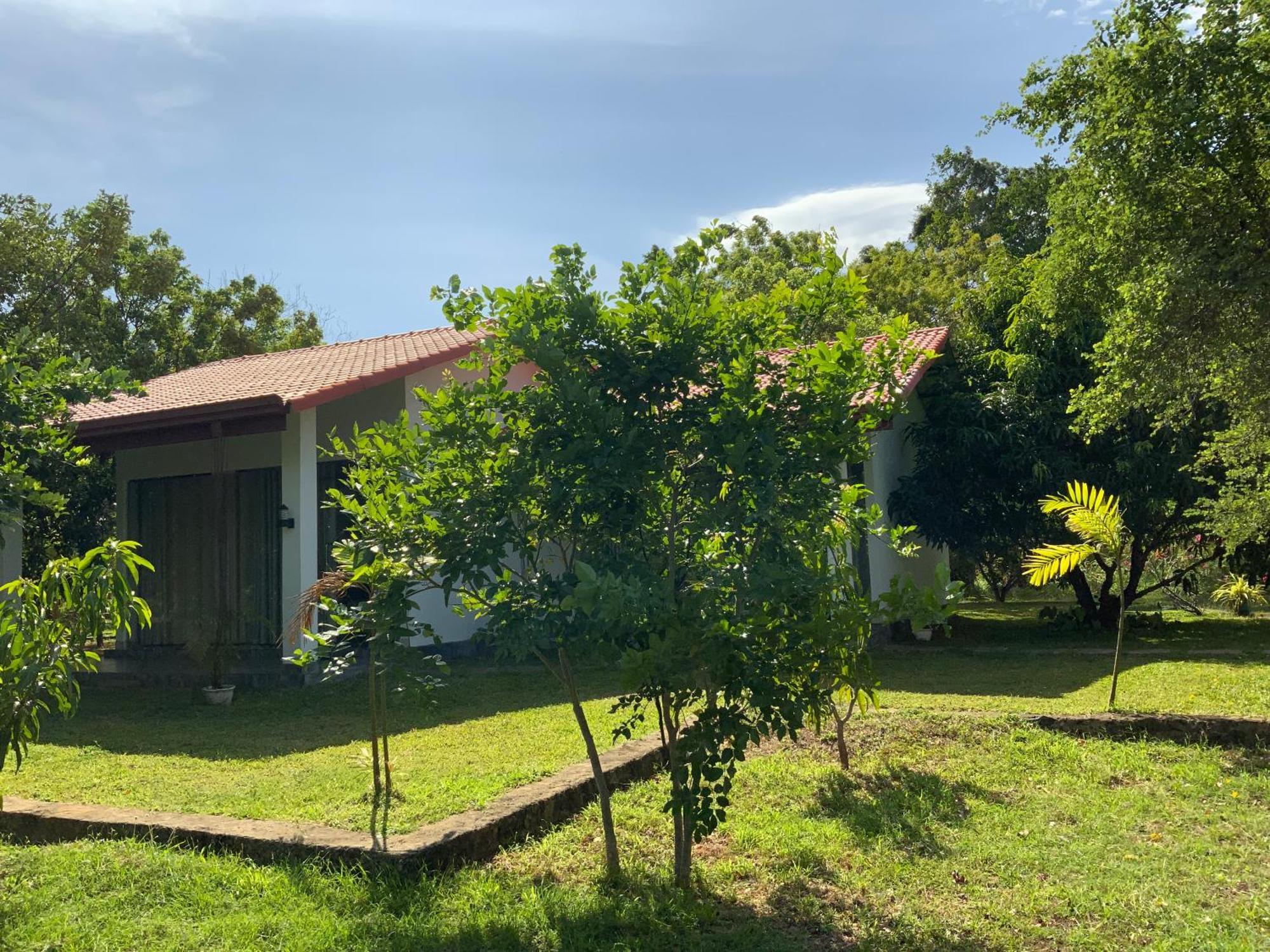 Nature Resort Polonnaruwa Bagian luar foto